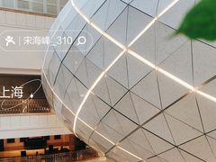 -上海大酒店(南京东路店)