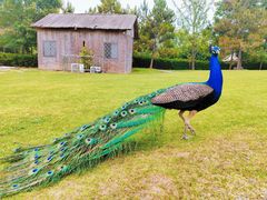 -武汉园博园(武汉自然博物馆)