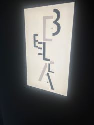 -BELLAREAL新美社