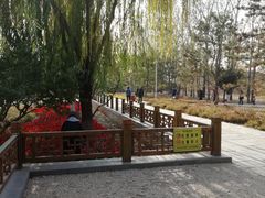 -燕郊植物园