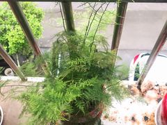 -嘉善国际农商城