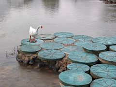 -靖西鹅泉风景区