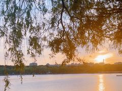 -长春市南湖公园