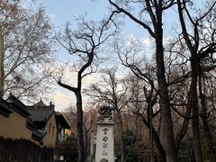 -灵谷景区