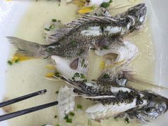 -八仔大富楼·河鲜(西江店)