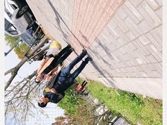 -杭州湾海上花田景区