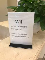 -碧莲盛·不剃发植发