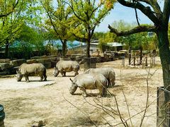 -上海野生动物园