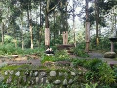 android_upload_pic-碧峰峡风景区