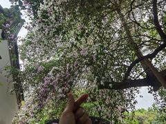 -深圳国际园林花卉博览园