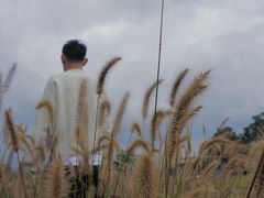 -白鹭湾湿地公园