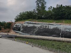 -三水森林公园