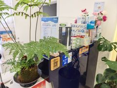 -维乐口腔(美维云门诊陆家嘴店)