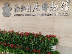 -浙江自然博物院(杭州馆)