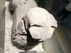 -六朝博物馆