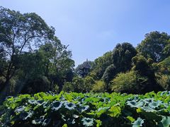 -成都杜甫草堂博物馆