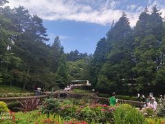 -庐山风景区花径公园