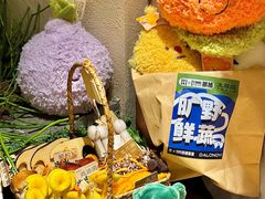 -大龙燚·旷野鲜火锅(广州首店)