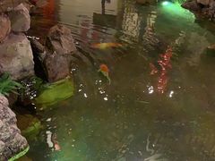 -鱼满舱·鲜活海鲜·正宗鲁菜