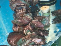 -沿海渔家院海鲜烧烤·东北菜(东戴河店)
