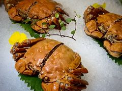 -新光酒家·河豚·海鲜·蟹料理(浦东店)