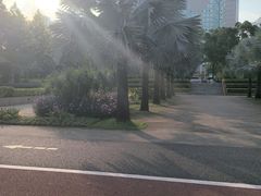 -南宁南湖公园
