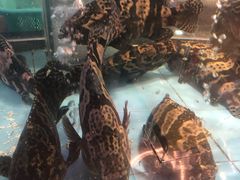 -王庄阿咪海鲜大排档(象园店)