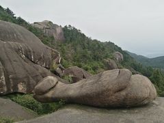 -玉苍山国家森林公园