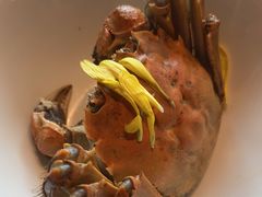 -蟹榭·本帮江浙菜·蟹宴(五角场合生汇商场店)