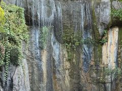 -西双版纳原始森林公园