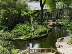 -南山植物园