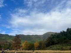 -塔川景区