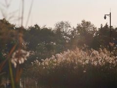 -福田红树林生态公园