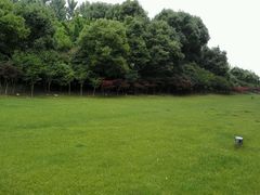 android_upload_pic-常州环球恐龙城维景国际大酒店