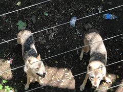 -石家庄市动物园