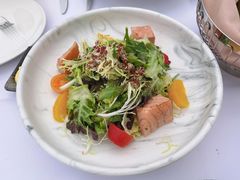 盐烧低温三文鱼沙拉-Kathleen's Waitan 凯圣琳江景西餐厅(外滩店)