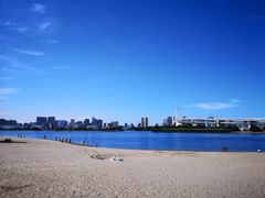 -台场海滨公园船码头