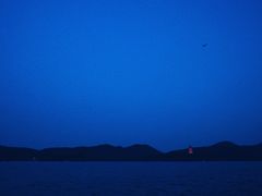 -西湖外事游船(花港观鱼码头)