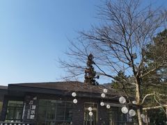 -溪口商量岗景区