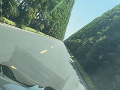 -黄海国家森林公园