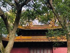 -普陀山风景名胜区-法雨禅寺