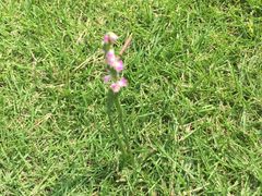 -上海昆虫博物馆