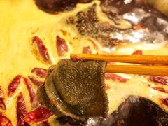 毛肚-山城年华老火锅(玉林店)