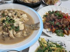 -煲来饱去冷水鱼