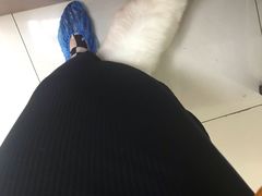 -鼓捣猫呢主题猫咖店