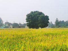 -中国天府农业博览园