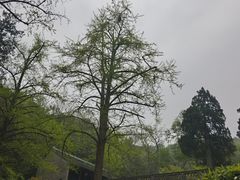 -南山风景名胜区