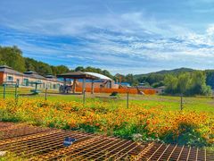 -哈尔滨北方森林动物园