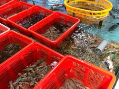 -隆都四季香饭店(碧海路店)