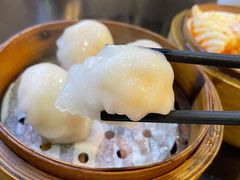 添运来虾饺皇-添运来(茶园奥园广场店)